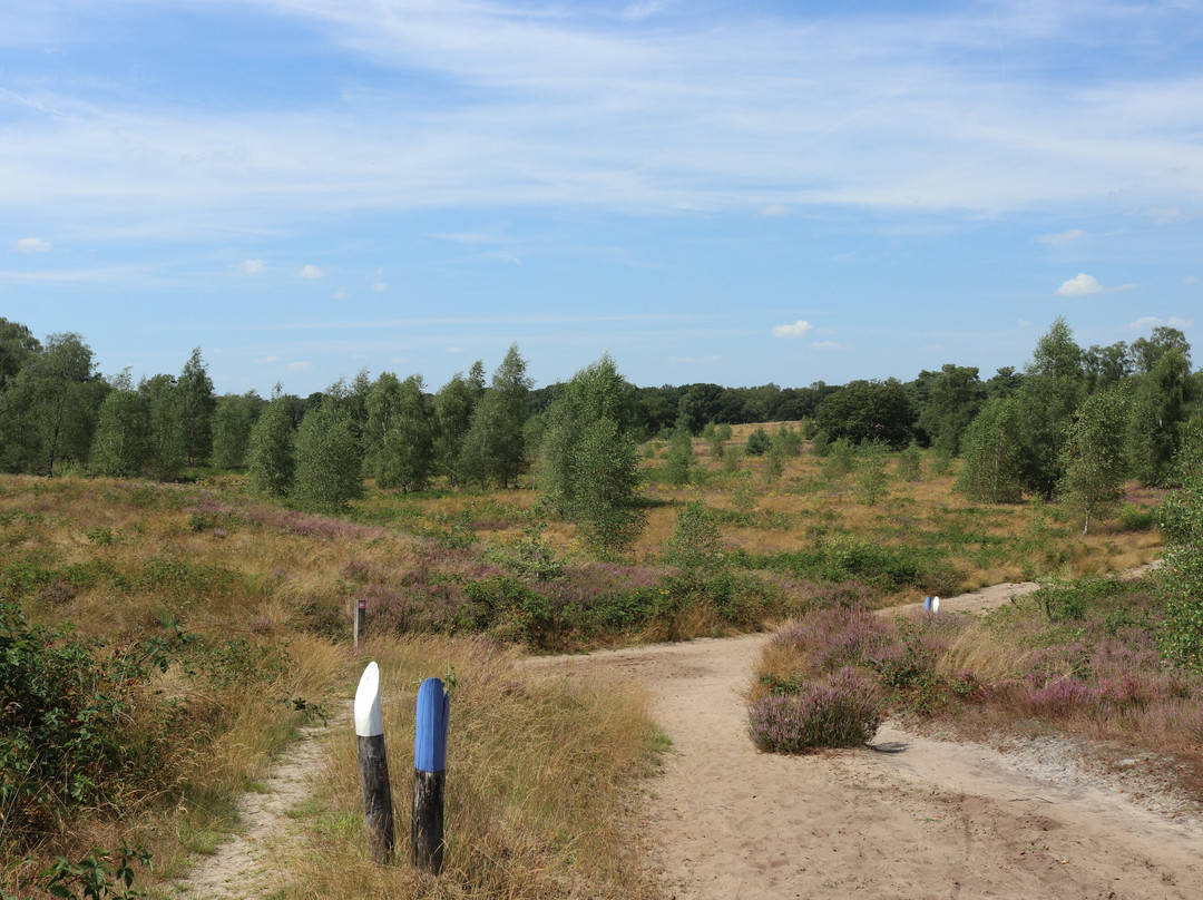 Langoed De Hamert, Wellerlooi-Wellerlooi必去景点