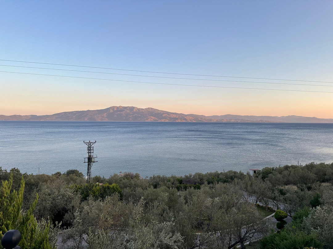 Assos Dionysos Hotel主图