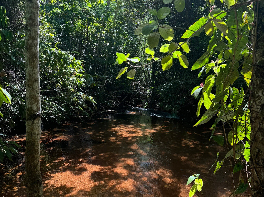 Vale do Rio Claro景点图片