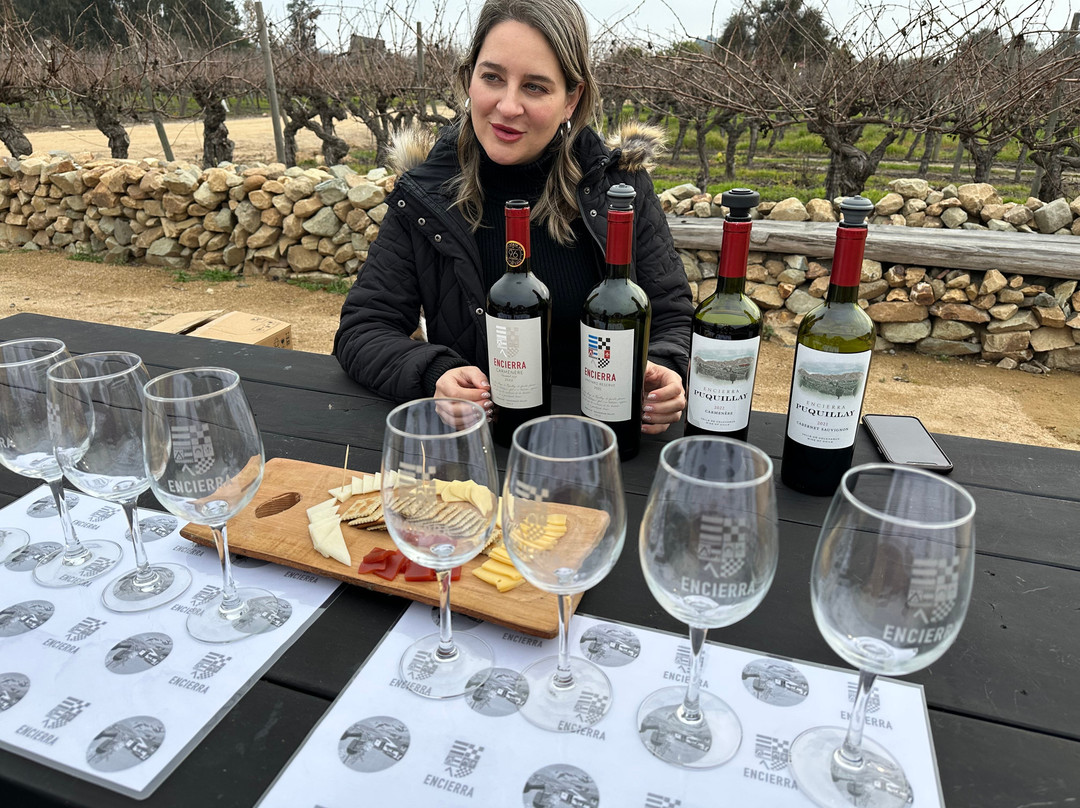 VLC-Organic Wines (Viña Los Chanchitos)-Peralillo必去景点