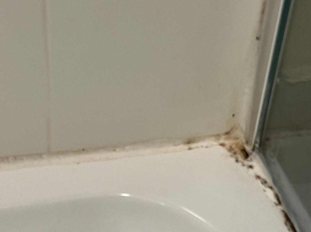 Comfort Inn & Suites主图