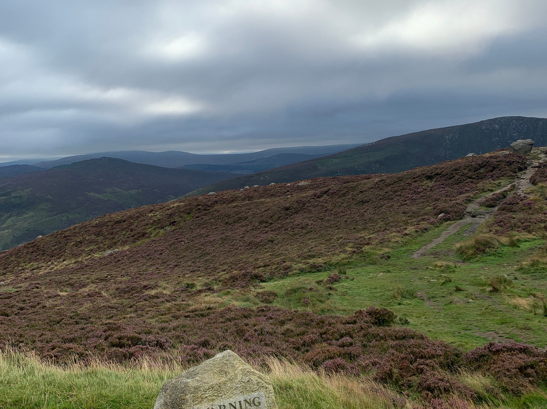 Sally Gap-Wicklow必去景点