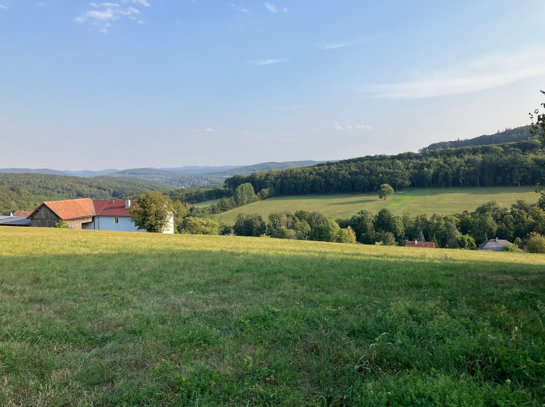 Bauernhof Wolf-Hof主图