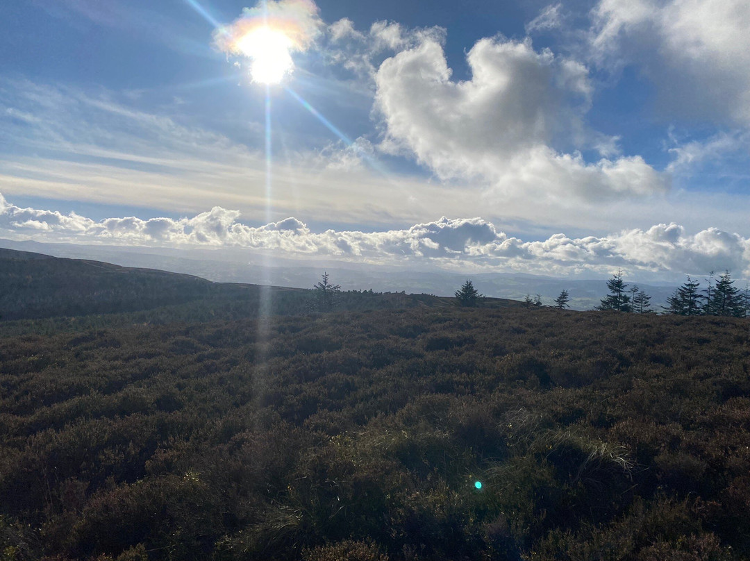 Moel Famau景点图片