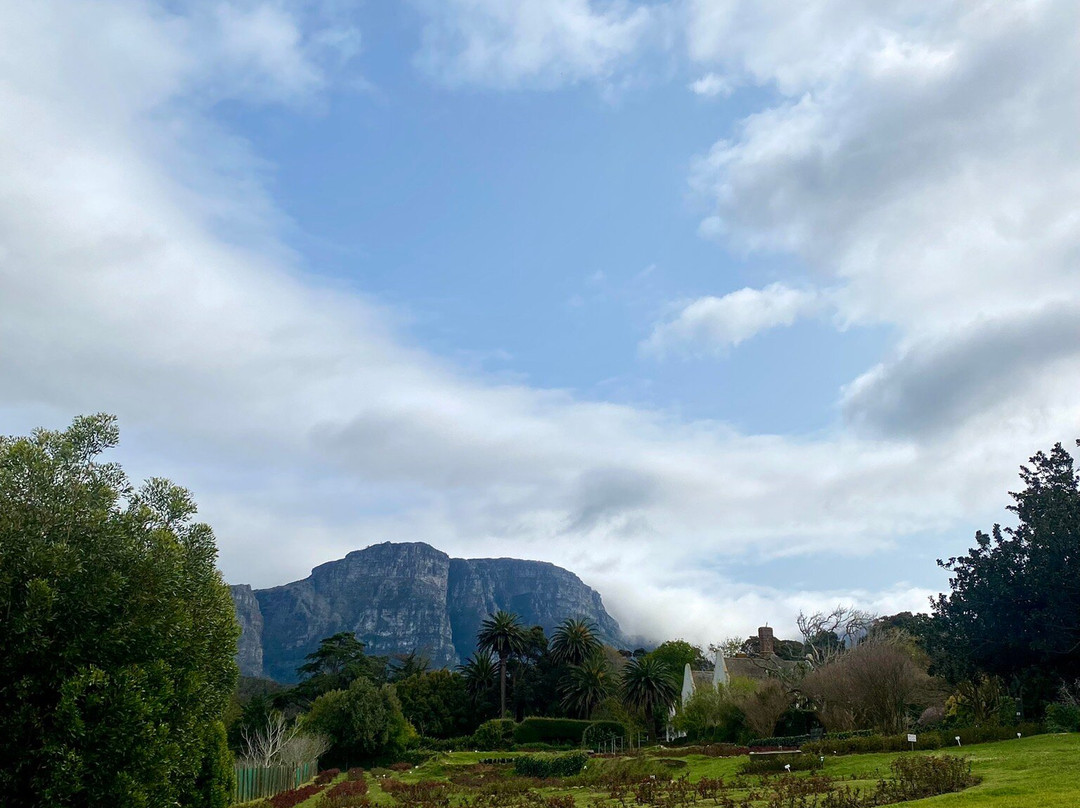 Chart Farm-开普敦中心区必去景点