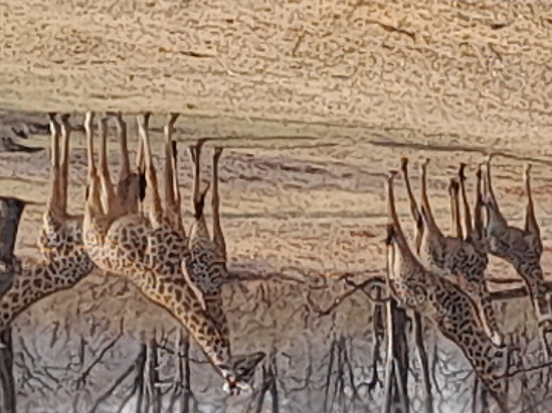 莫菲经济型野生动物园舄湖露营酒店