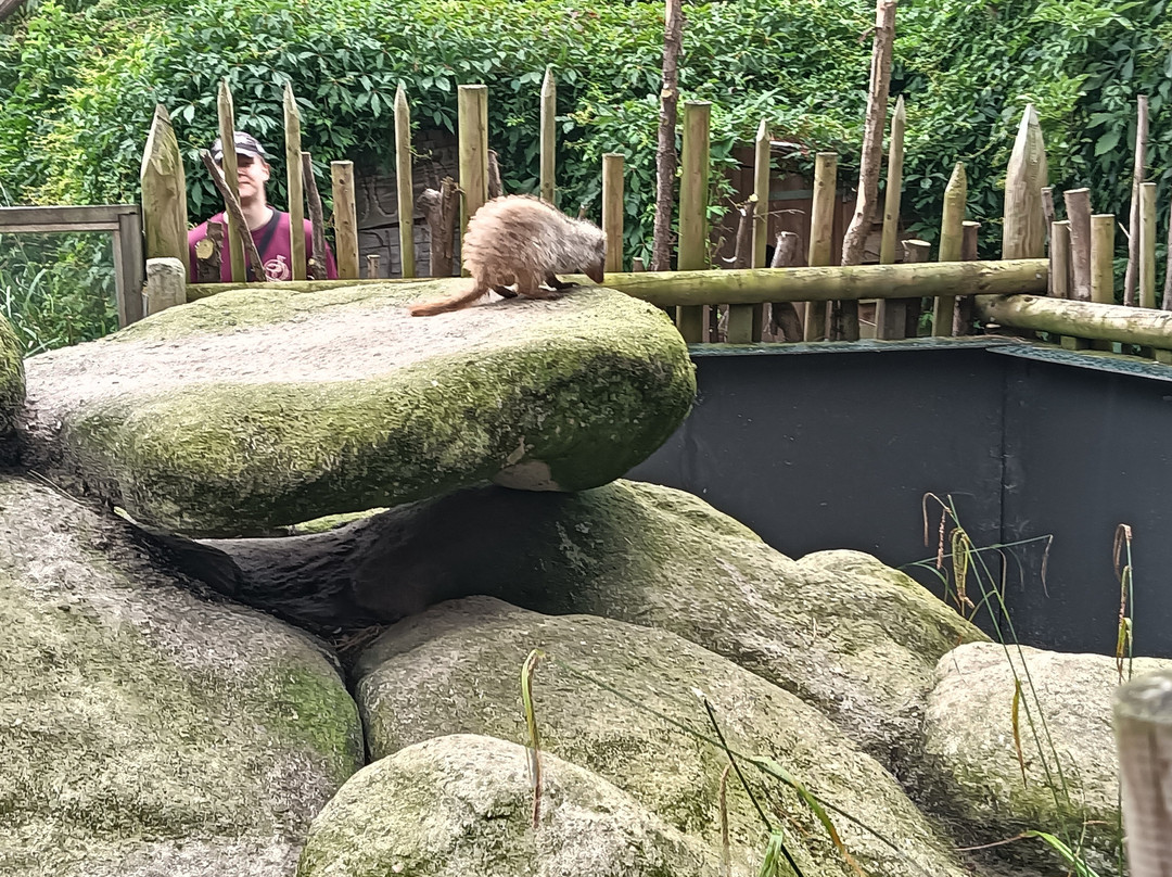 Artisklas-哈勒姆必去景点