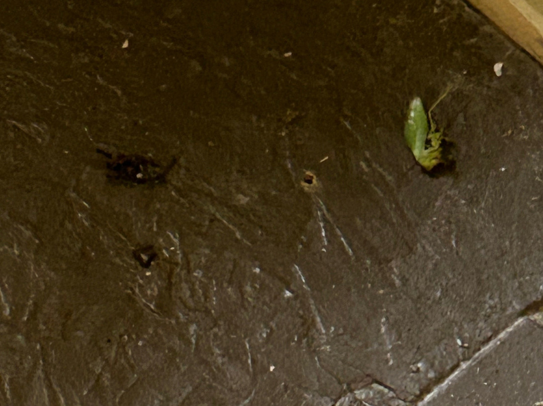 Lakeview at Fontana Inn & Treetop Soaking Cabanas主图