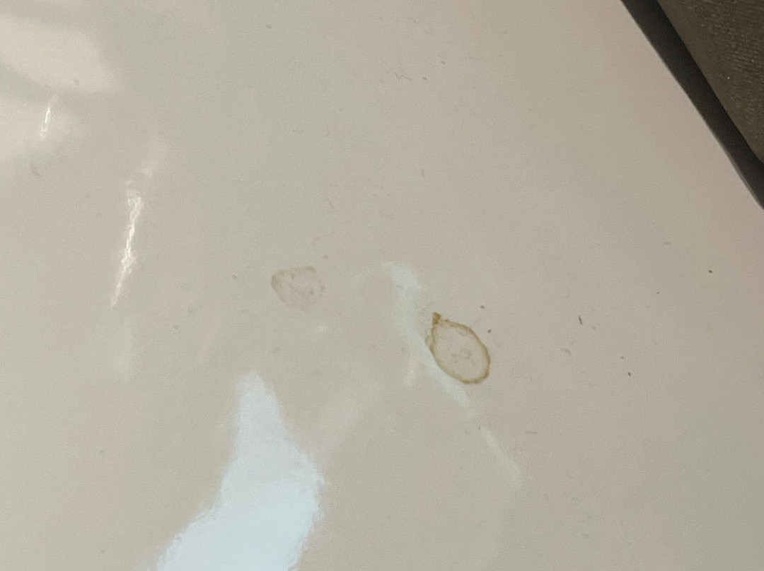 Hotell Hallstaberget主图