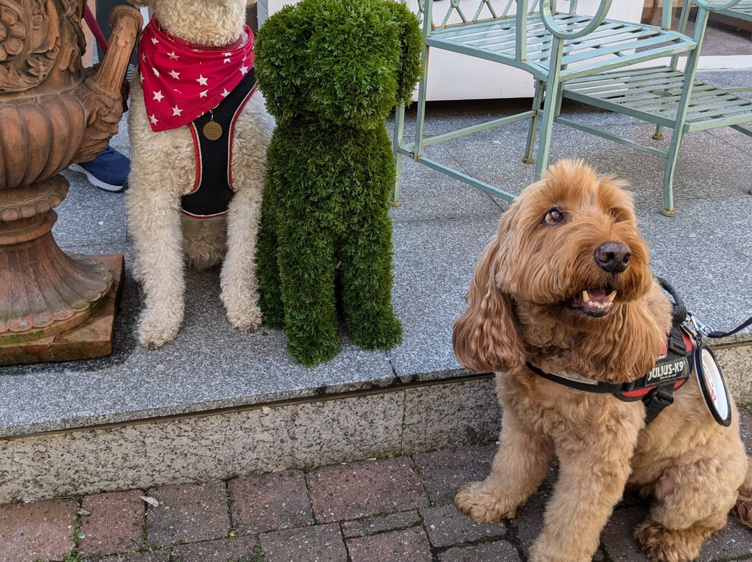 The Bear Hotel主图