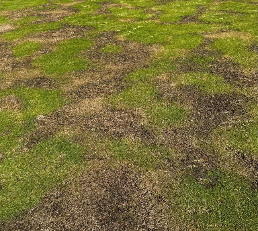 Eurovalley Golf Park Club Malacky景点图片