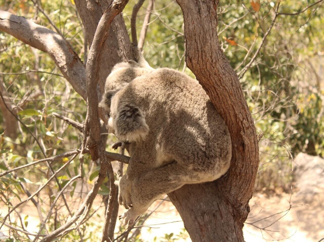 Magnetic Island Forts Walk-Magnetic Island必去景点