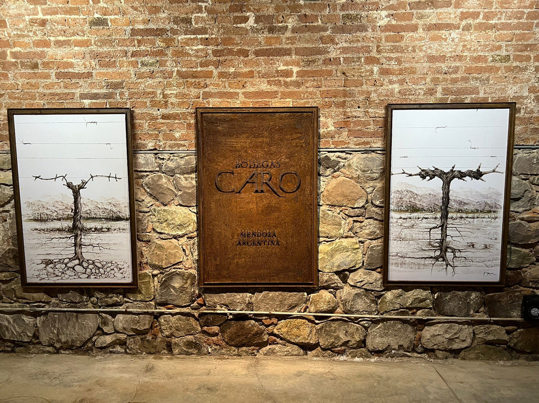 Bodegas CARO景点图片