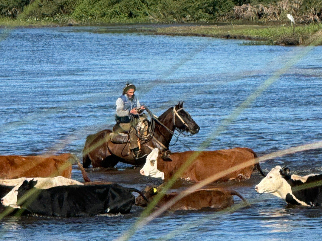 Don Joaquin River Lodge主图
