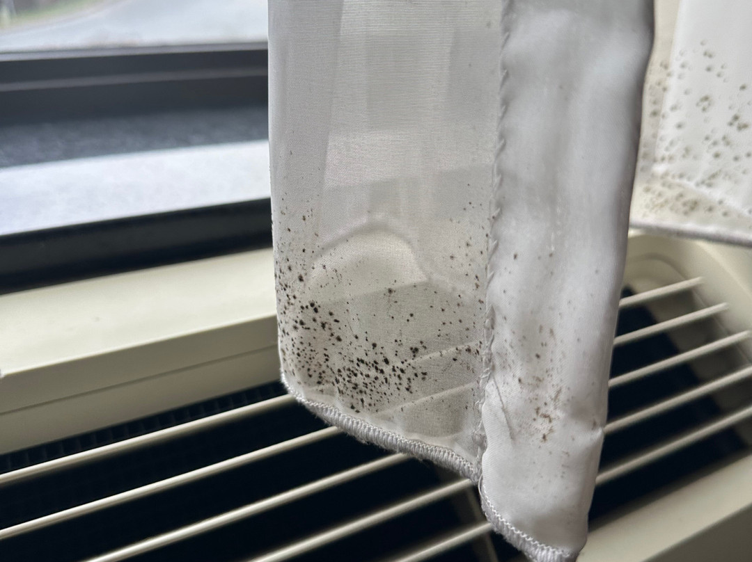 Best Western Harrisburg North主图