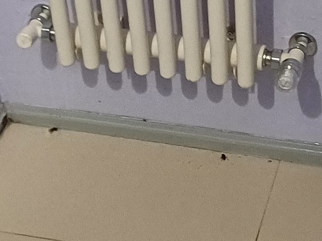 Le Stelline Villaggio Albergo主图