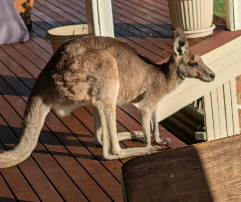 Clarence River Bed & Breakfast主图