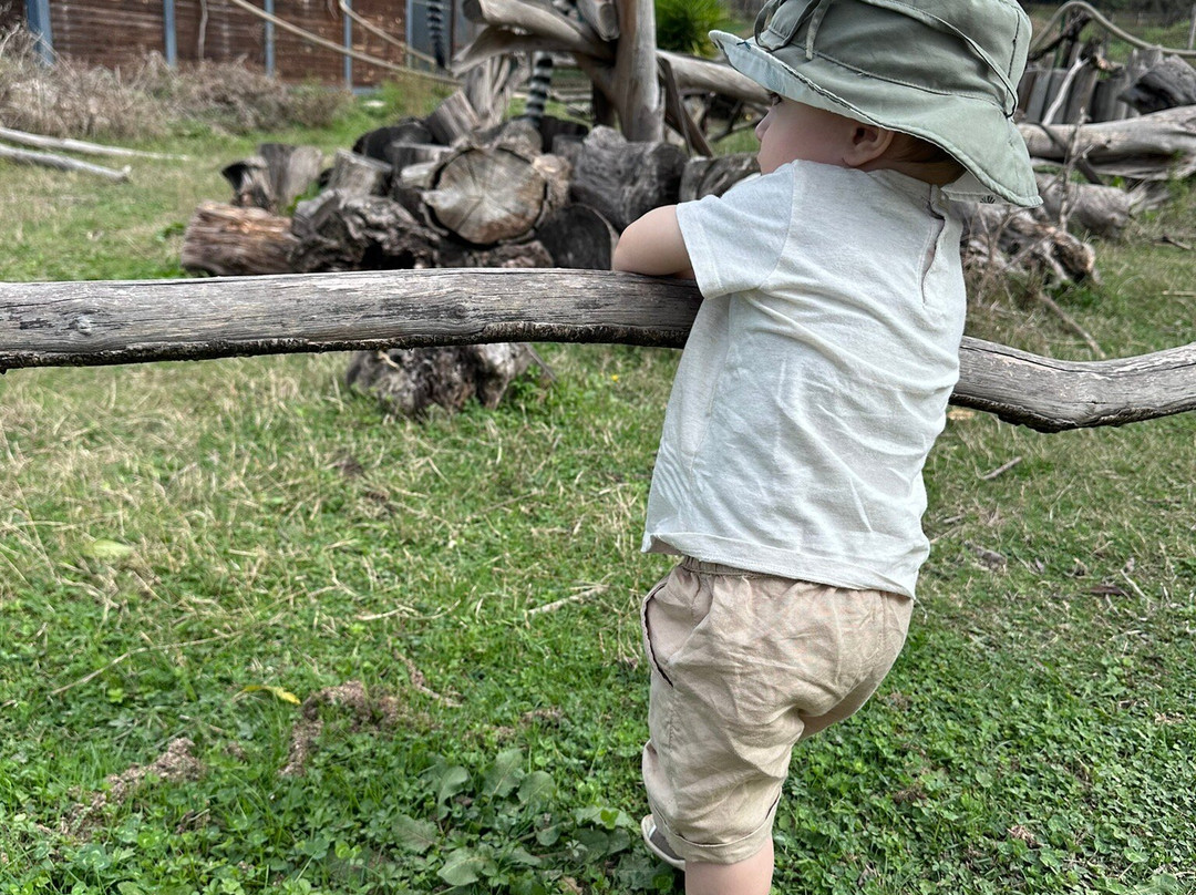 Corsica Zoo-Olmeta di Tuda必去景点