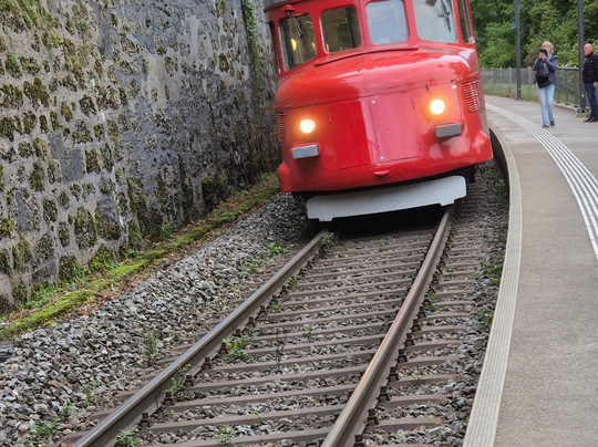 Brunchfahrt im Roten Doppelpfeil-苏黎世必去景点