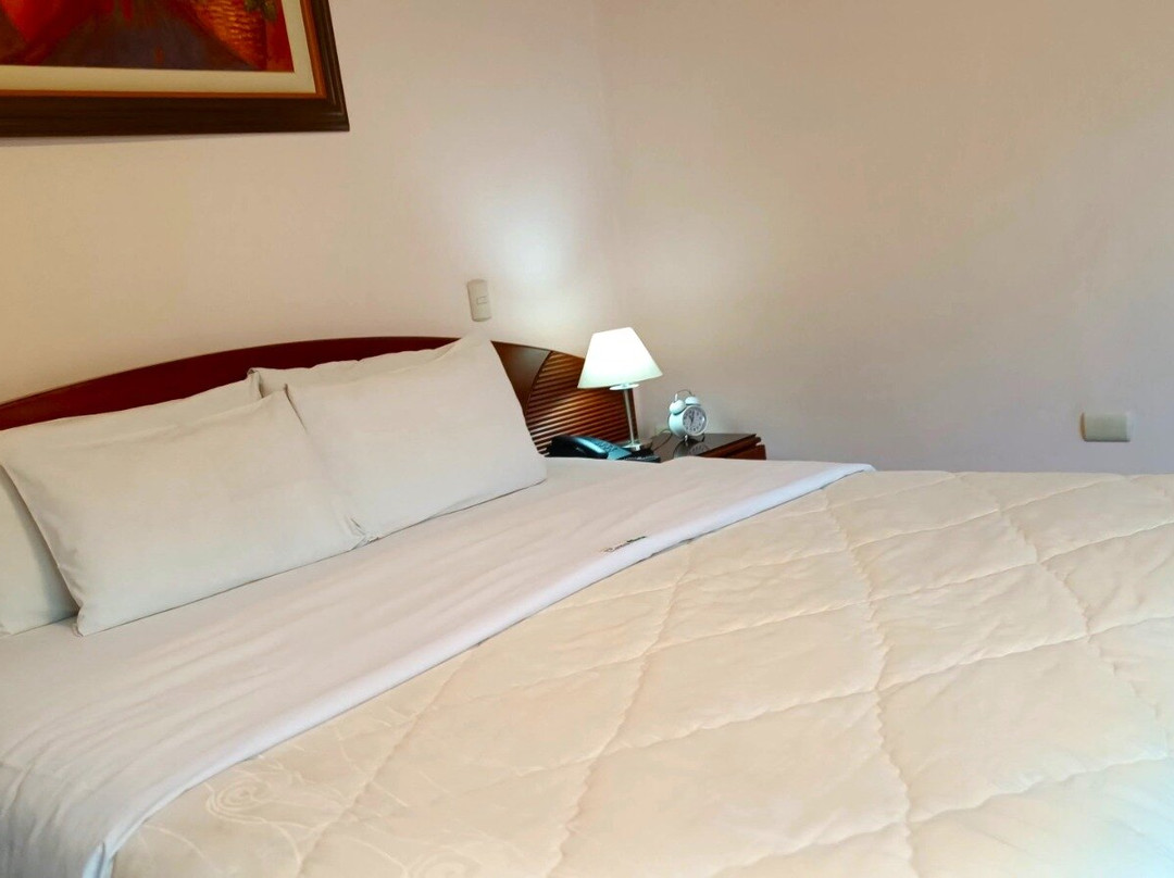 Hotel Torre Norte主图