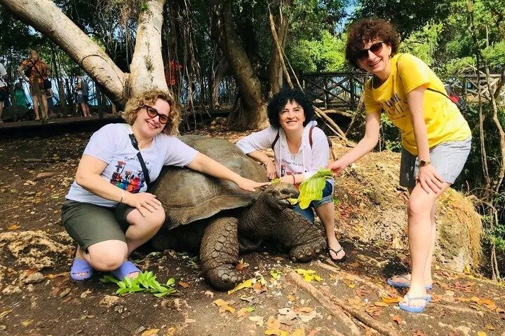 Things to do in Zanzibar - Afro-Vertex Tours & Safaris