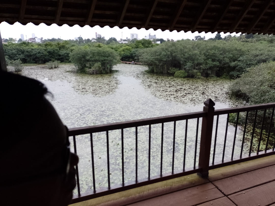 Beddegana Wetland Park景点图片