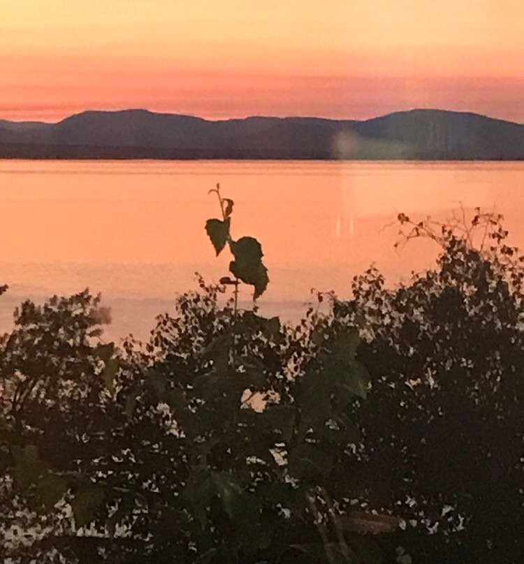 Auberge De La Pointe主图