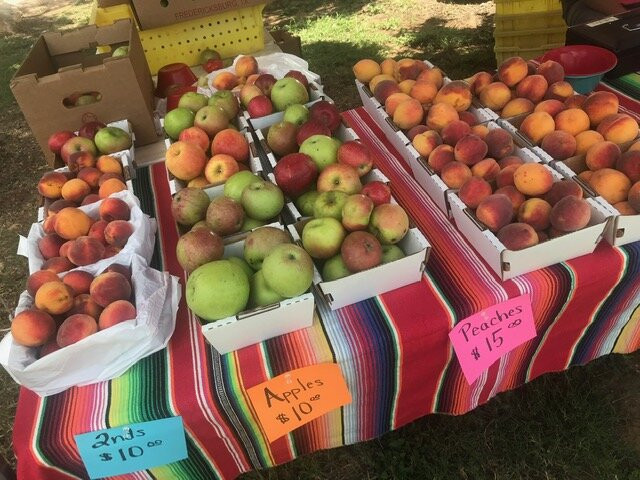 Pedernales Farmers Market-Spicewood必去景点
