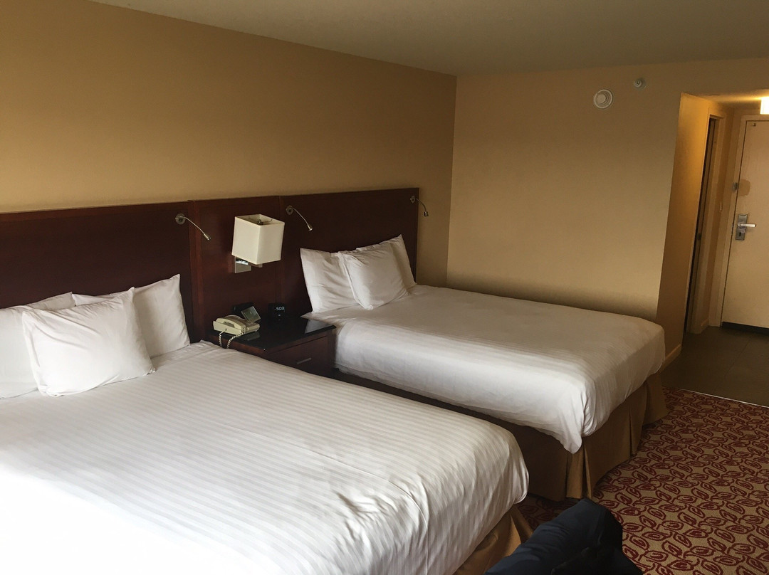 麦坎姆利广场酒店主图