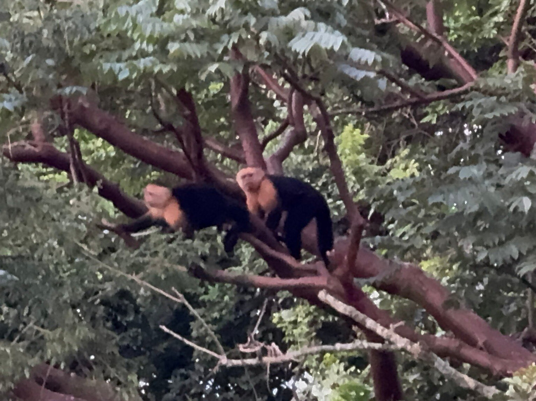 Agutipaca Bungalows主图