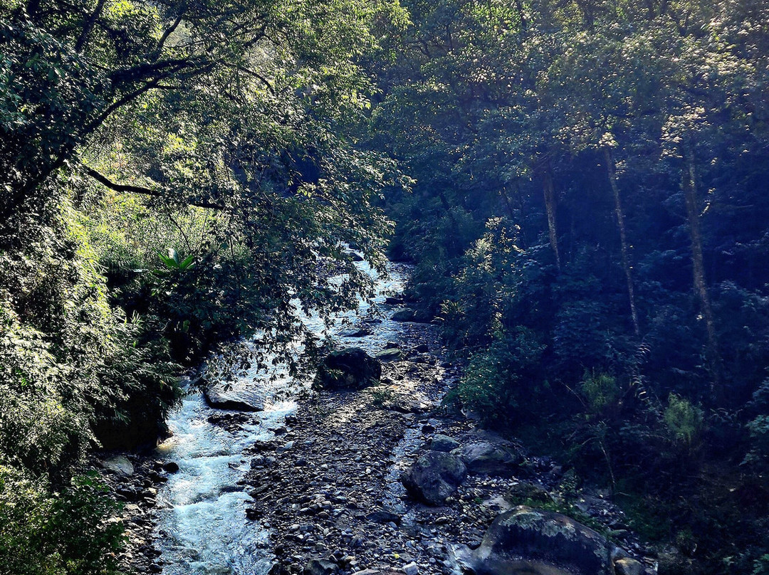 Avianna Gangtok Resort & Spa主图