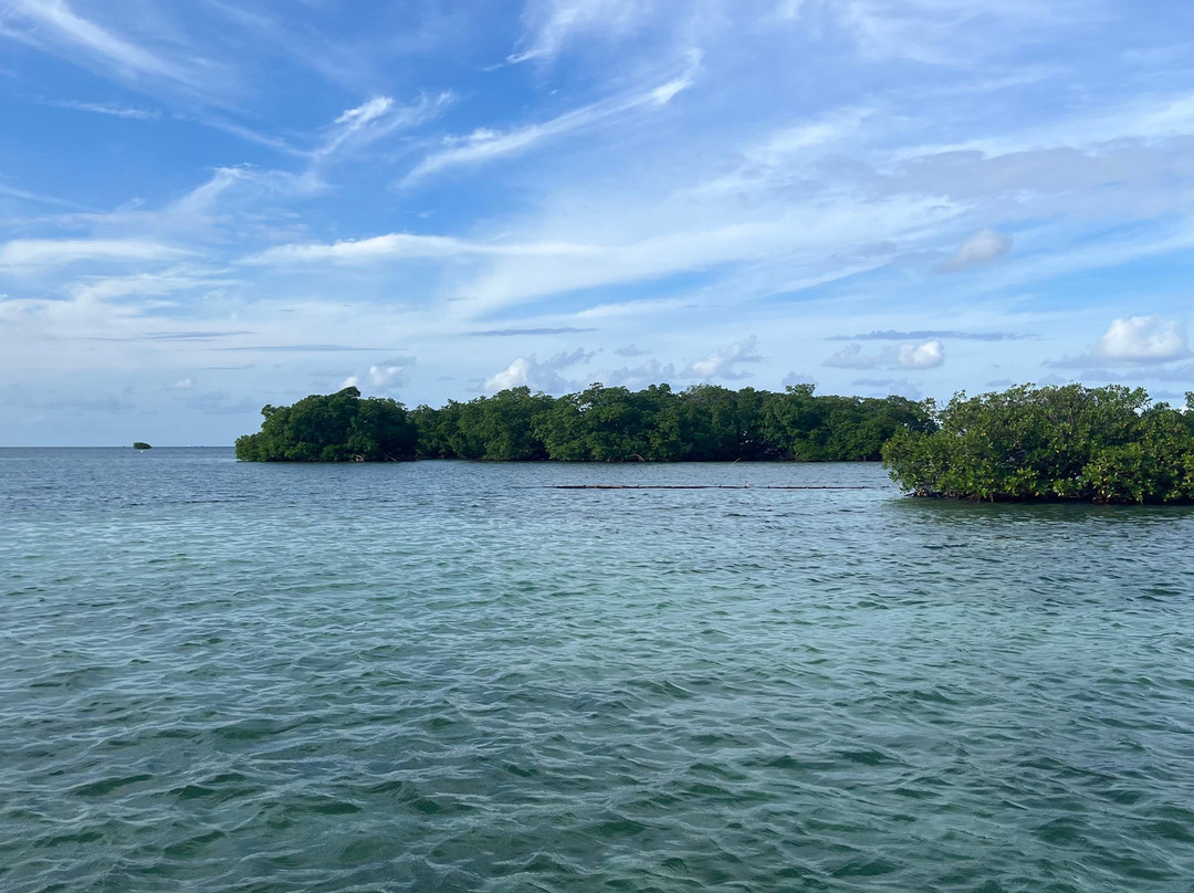 Gwadaventure-Sainte Rose必去景点