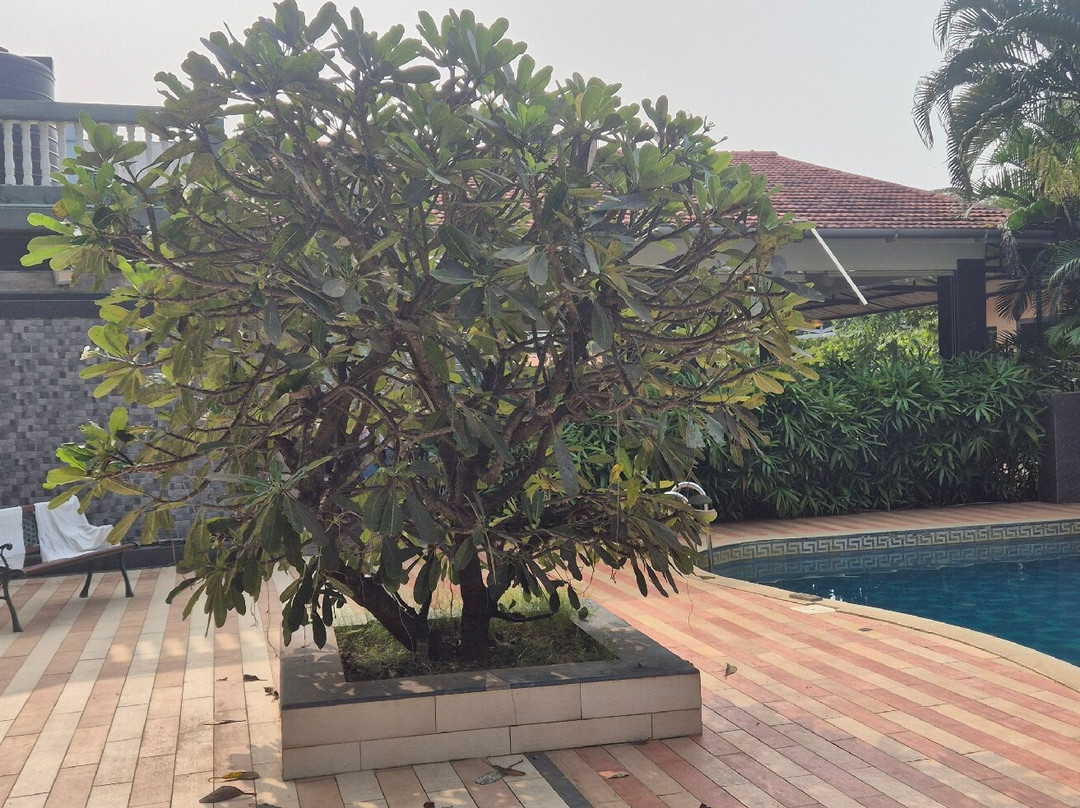 Meritas Seawind Beach Resort主图