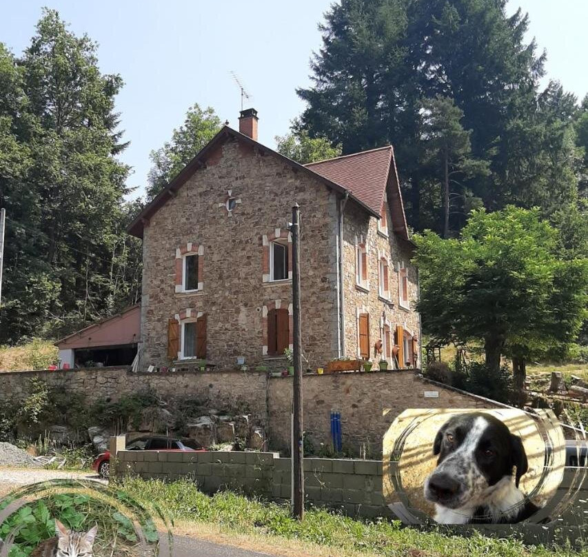 E lu chantauziau