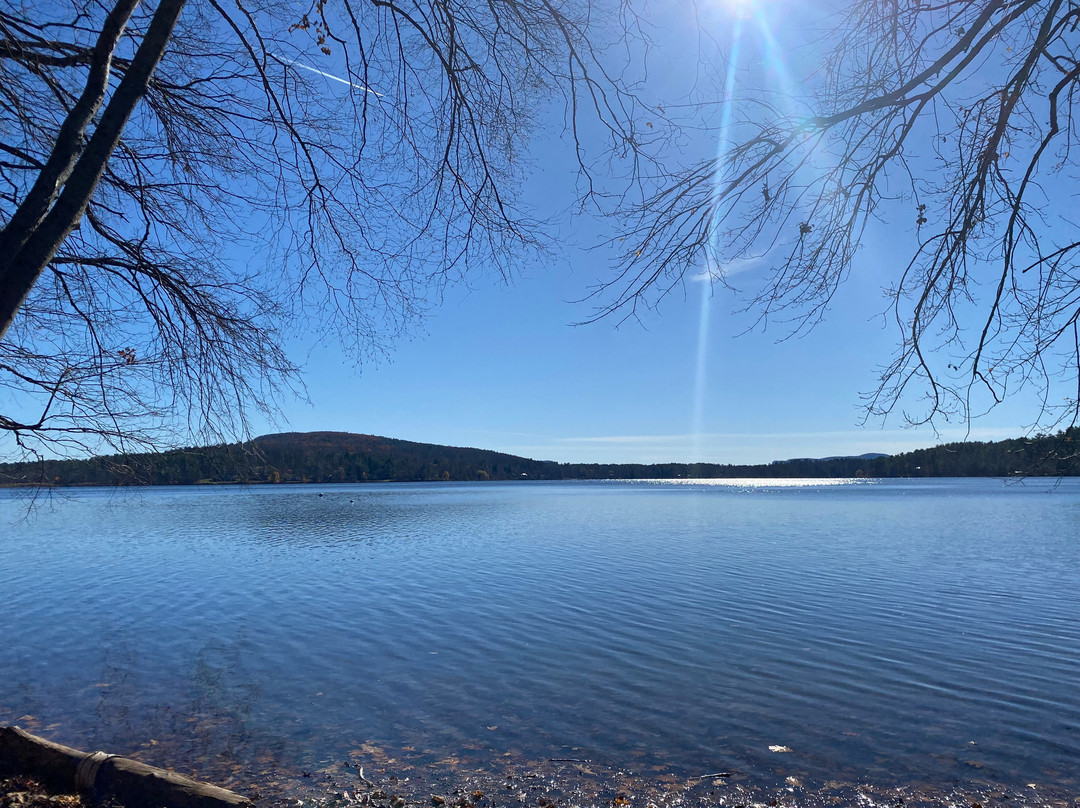 Apple Tree Inn主图