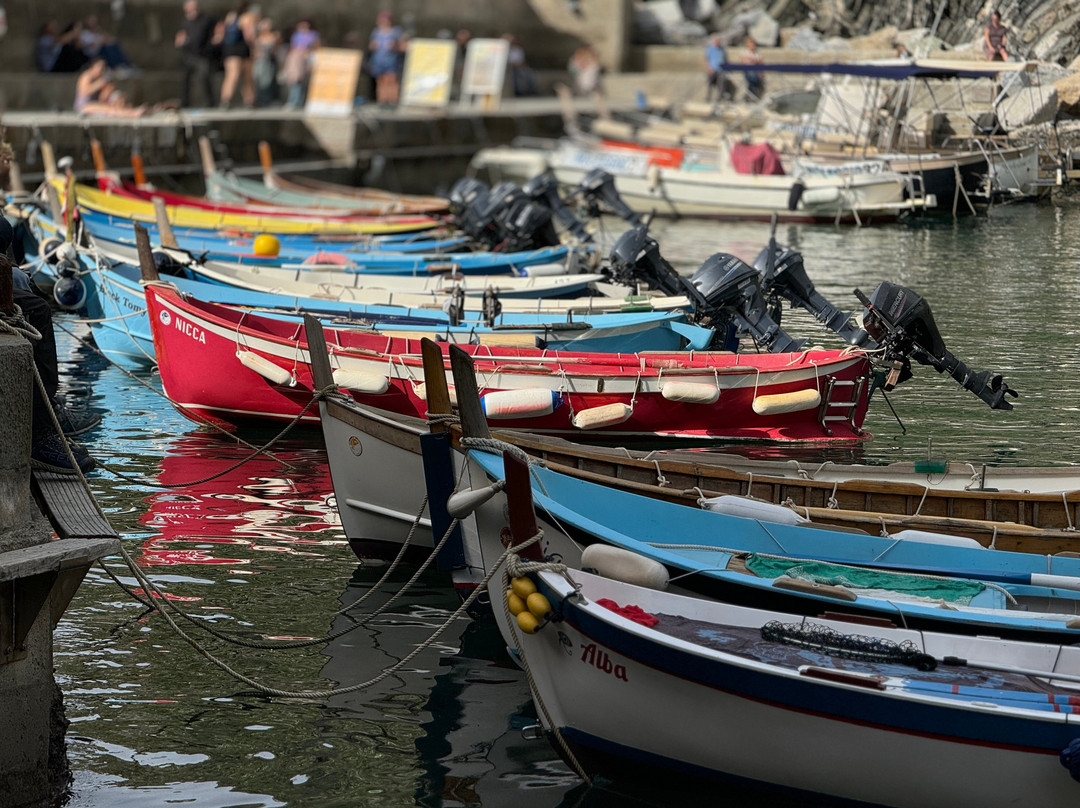 伊尔萨拉瑟诺酒店主图