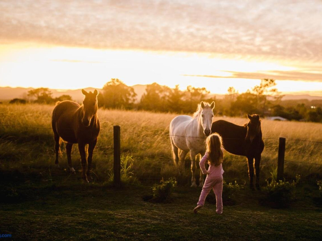 Fernhill Guest Farm
