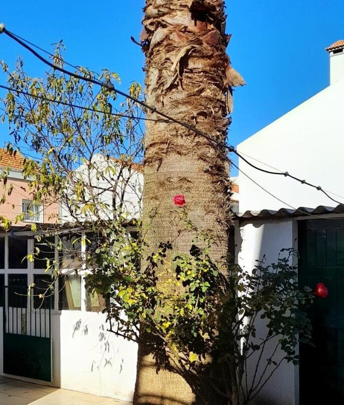 Casa da Forja