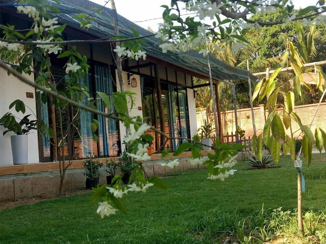Bebe Homestay Phu Quoc