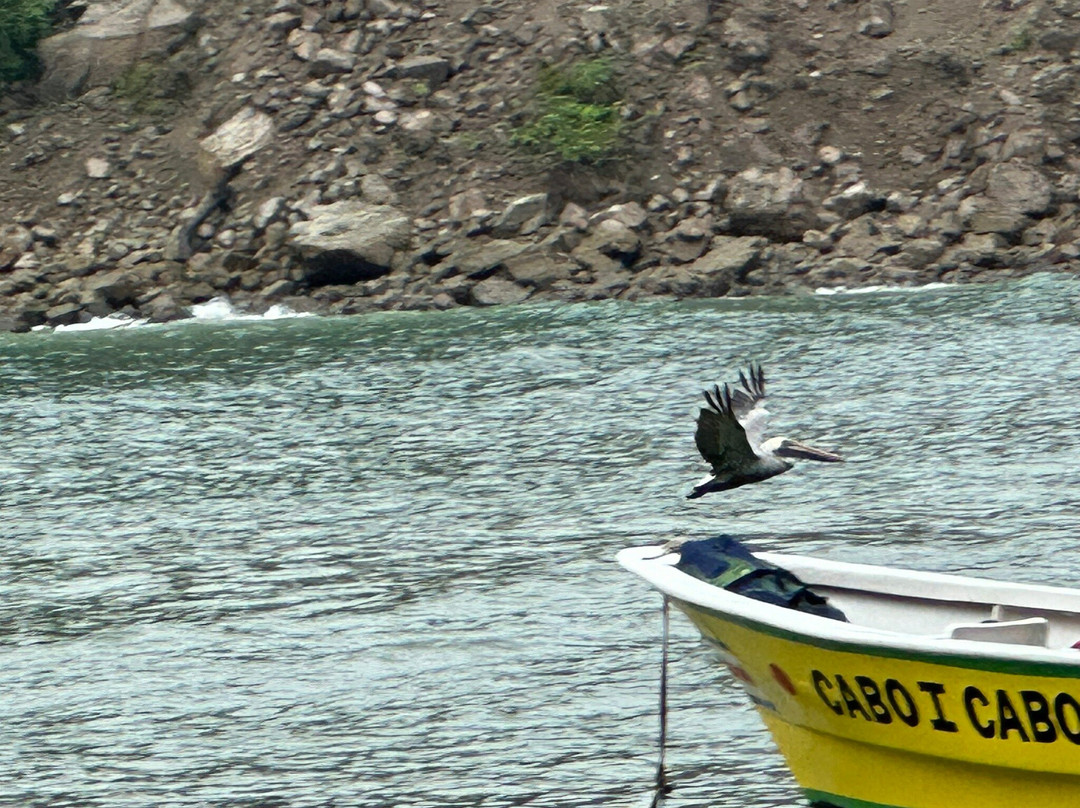 Cabo Blanco Travelers景点图片