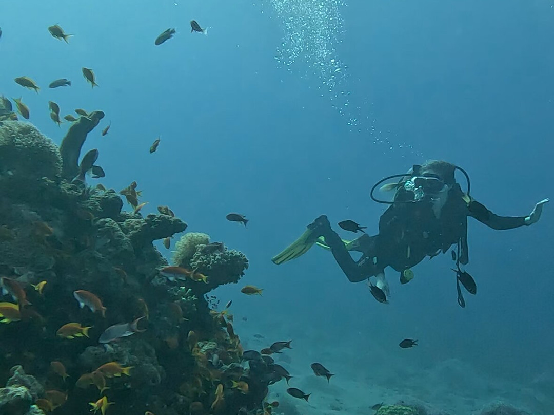 Royal Diving Centre-亚喀巴必去景点