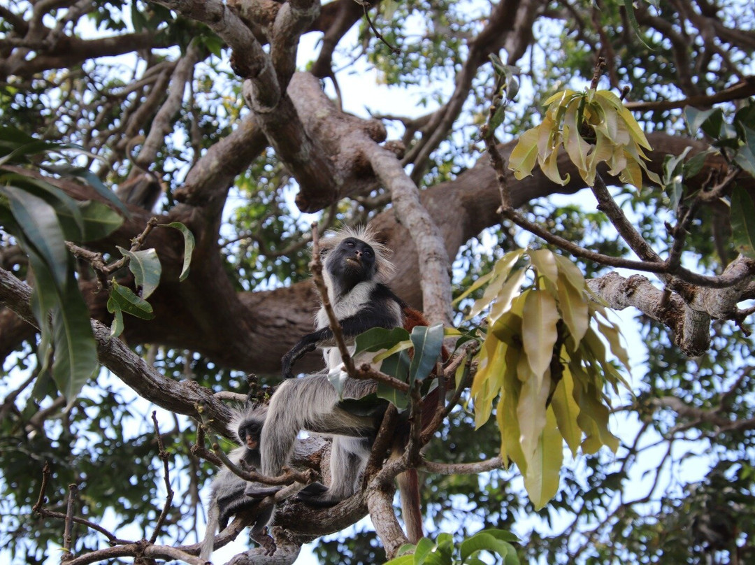 Jack Daniels-必韦久必去景点