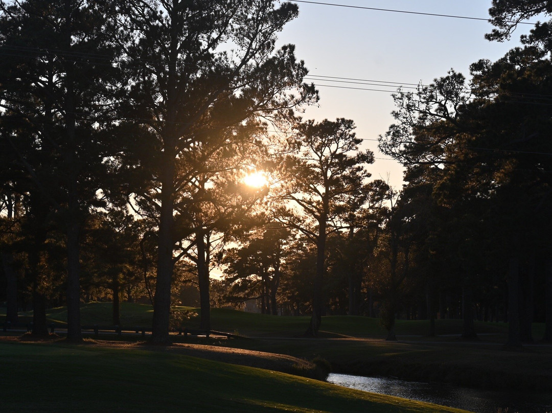 PineHills & Palmetto at Myrtlewood Golf Club-美特尔海滩必去景点