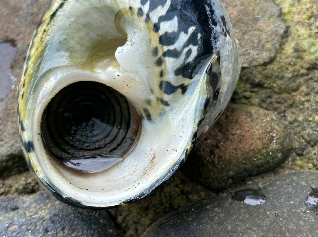 Rosalie Bay Eco Resort & Spa主图