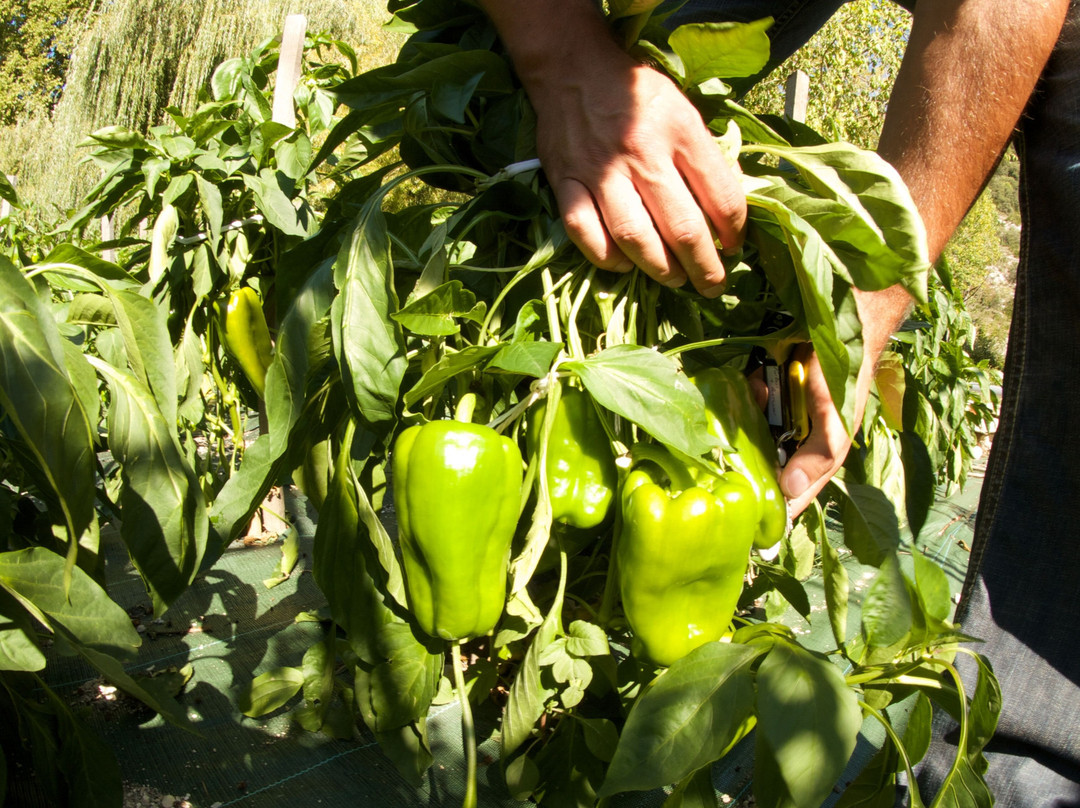 Hotel Restaurant du Parc主图