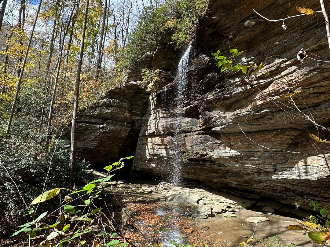 Bent Creek Lodge主图