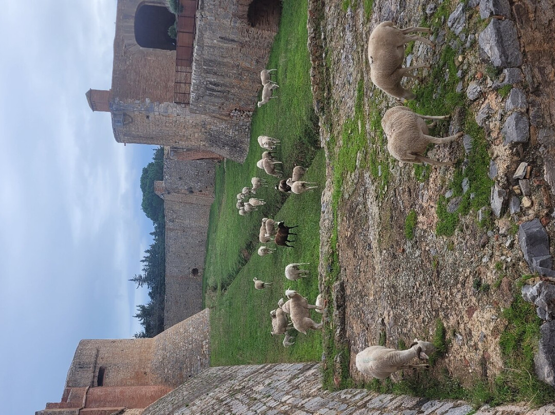 Forteresse de Salses景点图片