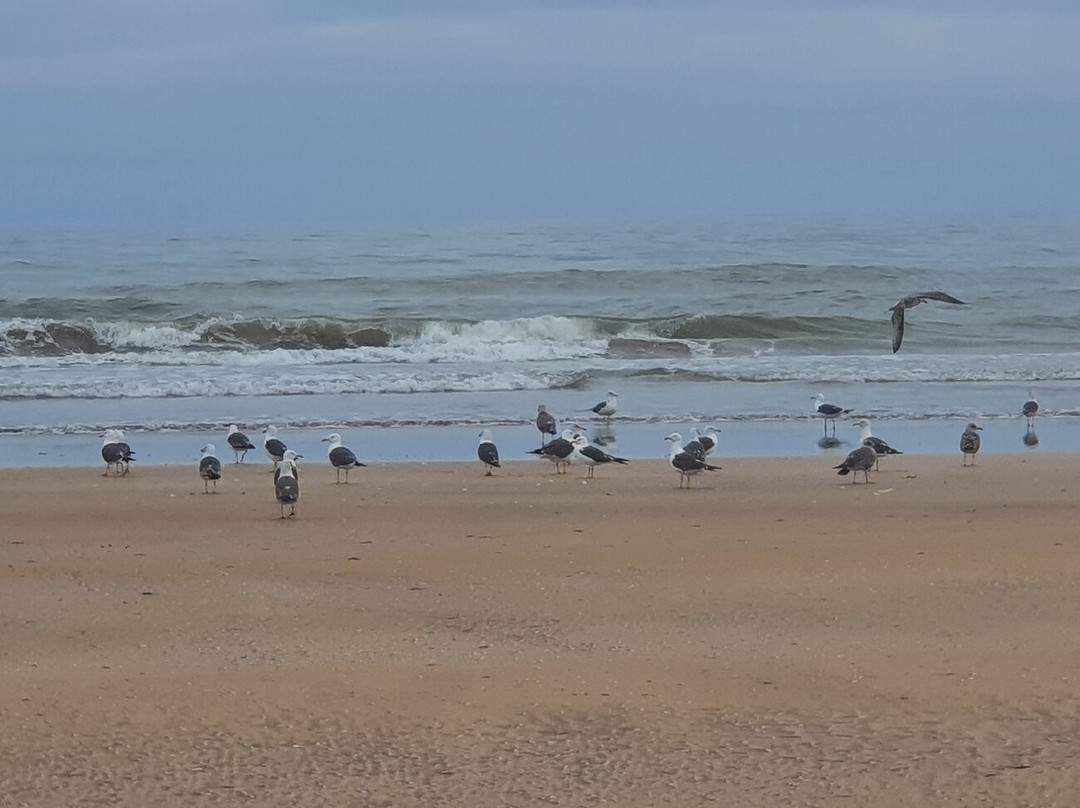 Haouzia Beach-摩洛哥-马扎甘葡萄牙城必去景点