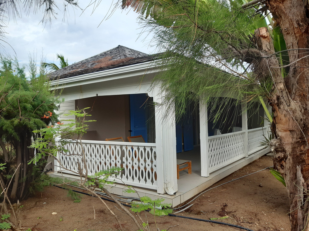 人工林酒店主图