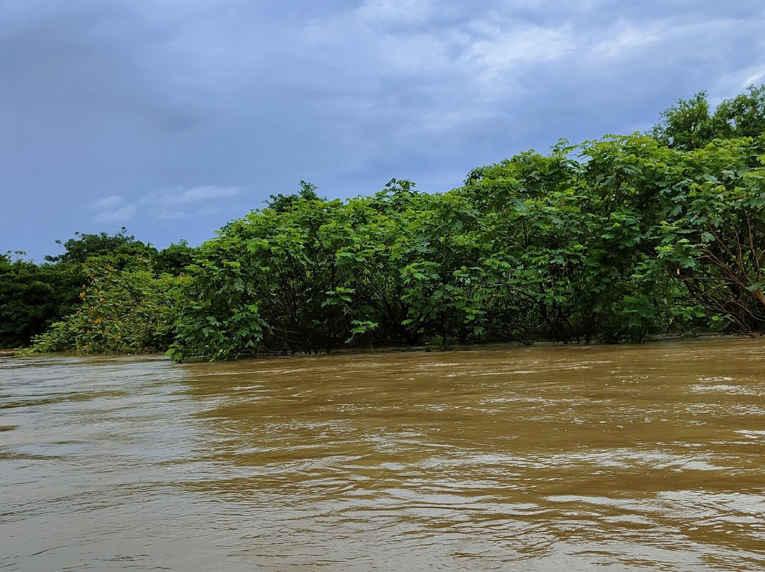 Caribbean Paradise Eco-Lodge主图